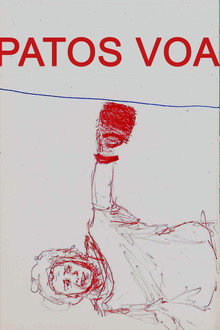 Patos Voam