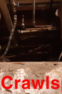 The Crawlspace