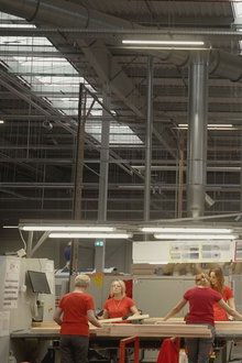 Ikea,-le-seigneur-des-forêts