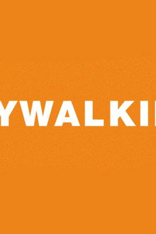 Jaywalking