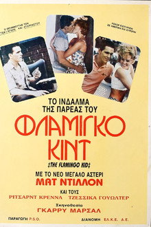 The Flamingo Kid