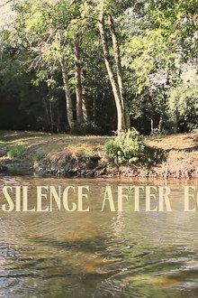 The silence after echo