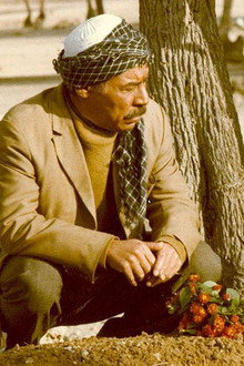 تاتوره