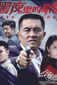 黑夜里的眼睛