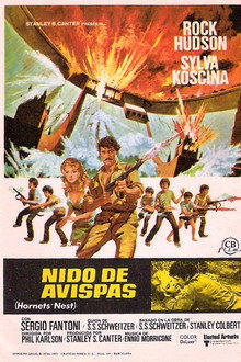 Nido de avispas