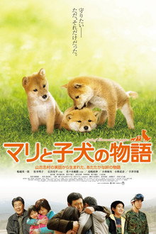 マリと子犬の物語