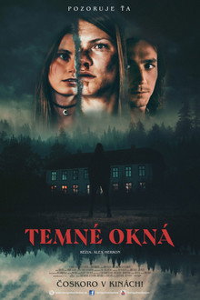 Temné okná