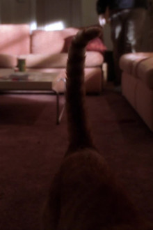 NCIS season 3 episode 20