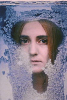 Белая-птица-с-чёрной-отметиной