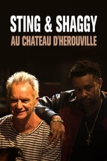 Poster do filme Sting & Shaggy au Château d'Hérouville