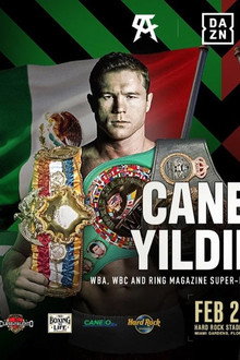 Canelo Alvarez vs. Avni Yildirim