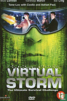 Virtual Storm