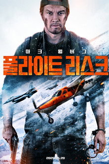 플라이트 리스크