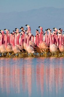 Planet-Erde-II-Eine-Erde---viele-Welten