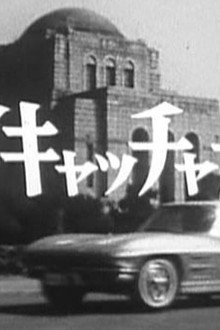 スパイキャッチャーJ3 SOS危機一発
