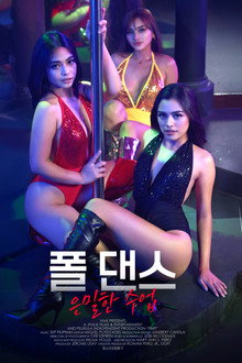 폴 댄스: 은밀한 수업
