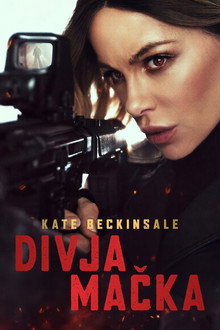 Divja mačka
