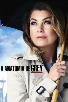 Assistir Grey’s Anatomy – Todas as Temporadas – Dublado / Legendado Online Grey’s Anatomy – Todas as Temporadas – Dublado / Legendado