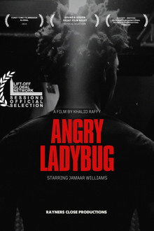 Angry Ladybug