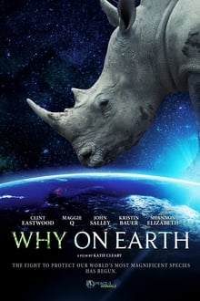 Poster do filme Why on Earth