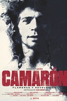 Camarón: The Film