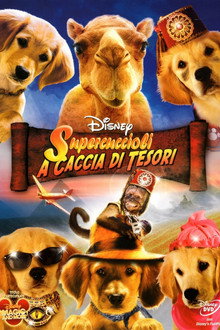 Supercuccioli a caccia di tesori