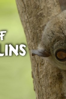 Land-of-Gremlins