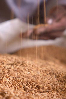 High on the Hog: How African American Cuisine Transformed America - Season 1