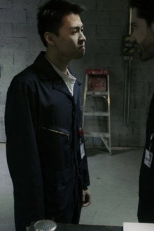 Territory 8