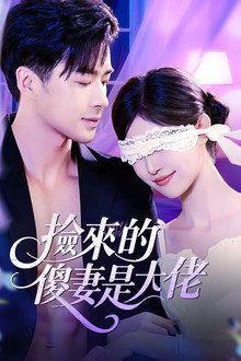 捡来的傻妻是大佬