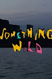 Something Wild