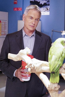 NCIS season 14 episode 3
