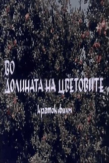 Во долината на цветовите