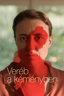Veréb a kéményben