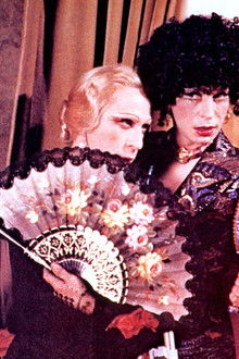 L'importante-è-non-farsi-notare