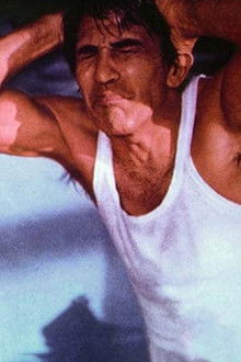 Passi-furtivi-in-una-notte-boia