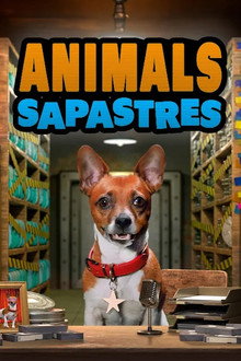 Silly Animals