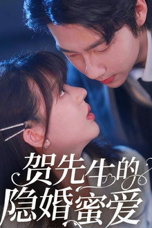 贺先生的隐婚蜜爱
