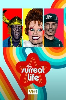 Poster da série The Surreal Life