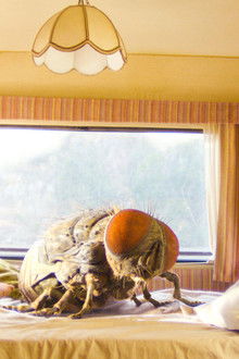 Mandibules---Due-uomini-e-una-mosca