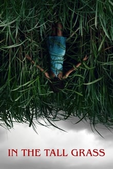 In The Tall Grass poster