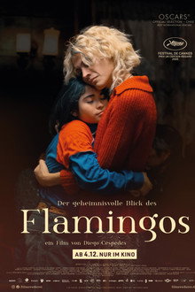 Der geheimnisvolle Blick des Flamingos