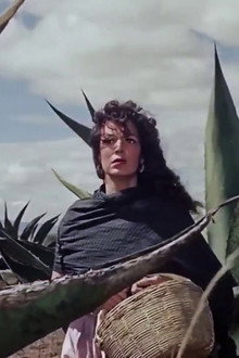 La escondida