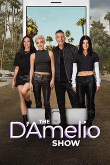 The D'Amelio Family tv show poster