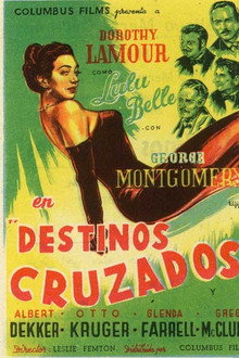 Destinos cruzados