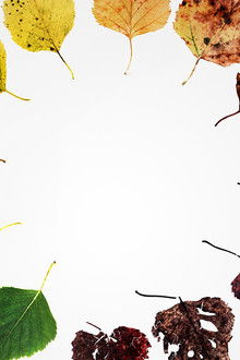 Alternate-Endings-Six-New-Ways-to-Die-in-America