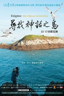 尋找神話之鳥