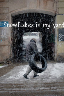 Snowflakes in my Yard