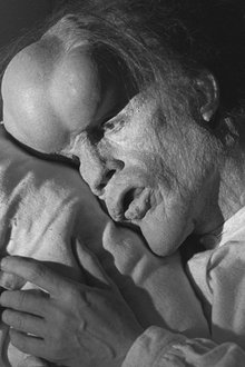 The Elephant Man