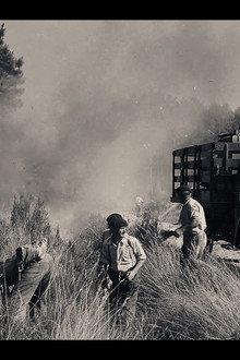 1949 : le Grand feu